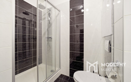 Na prenájom 3-izbový byt s loggiou v Ružinove