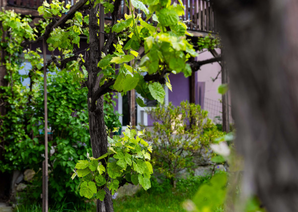 Na predaj 3-izbový byt s terasou, predzáhradkou a parkovacím miestom v obci Lipovec