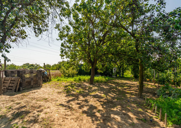 Na predaj záhrada v lokalite Sereď