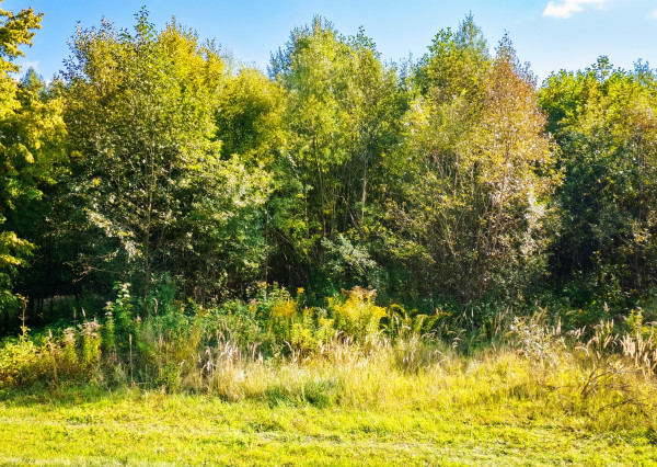 Na predaj pozemok v obci Šútovo
