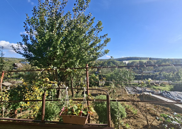 ZNÍŽENÁ CENA: Na predaj chata so záhradou v Bánovciach nad Bebravou