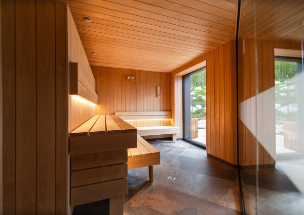 Exkluzívny  Apartmán v hotelovom komplexe s najlepším výhľadom priamo u lanovky - Apartmán Elements, Tatranská Lomnica - Vysoké Tatry