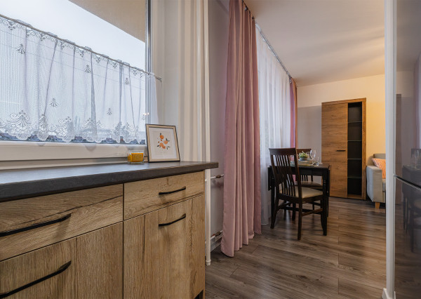 Na prenájom zariadený 1,5-izbový byt s loggiou v Košiciach