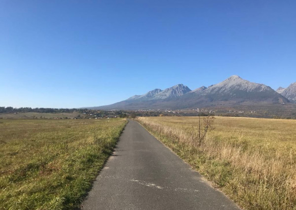 Nová Lesná / Vysoké Tatry -stavebné pozemky na predaj - 39 parciel , výmera 32 300m2