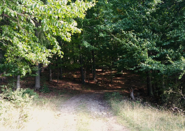 Exkluzívna ponuka Pozemkov (lesy, pasienky, lúky) v k.ú. Šípkov, okr. Bánovce n/B