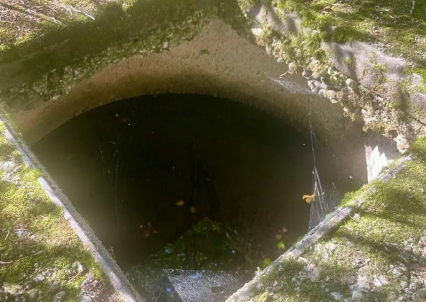 Exkluzívna ponuka Pozemkov (lesy, pasienky, lúky) v k.ú. Šípkov, okr. Bánovce n/B