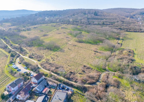 Na predaj perspektívny pozemok v Rači