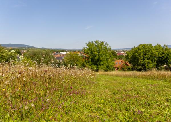 Na predaj impozantný rodinný dom v Ivanovciach