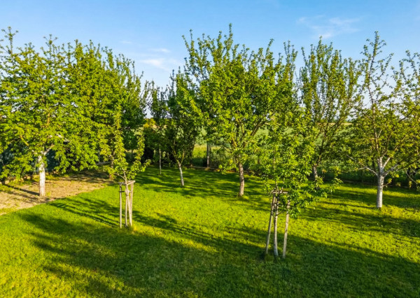 Na predaj dom s veľkým potenciálom v Dlhej nad Váhom - Šaľa