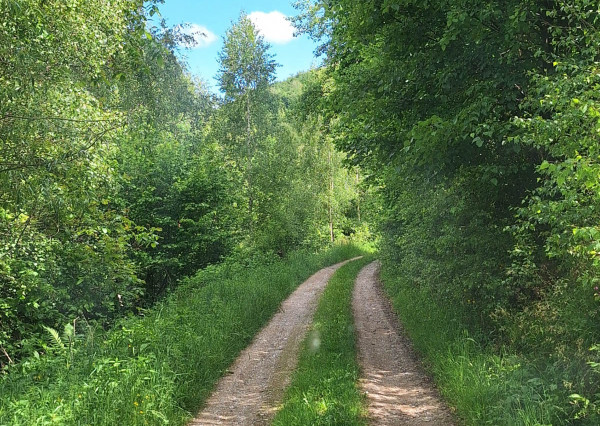 Na predaj dom v lese, blízko mesta Kokava nad Rimavicou