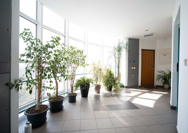 Na predaj reprezentatívny 6-izbový byt s garážou s výhľadom na Rakúsko