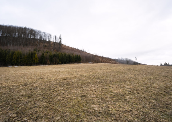 Na predaj investičný pozemok v rozvíjajúcej sa lokalite Lysica