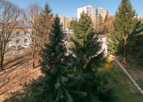 Na predaj 3izbový byt v pôvodnom stave v Trenčíne