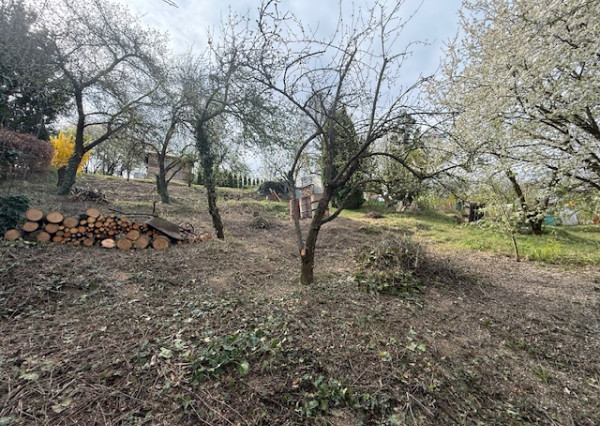 Na predaj pozemok v záhradkárskej oblasti Chrásť - Trenčín