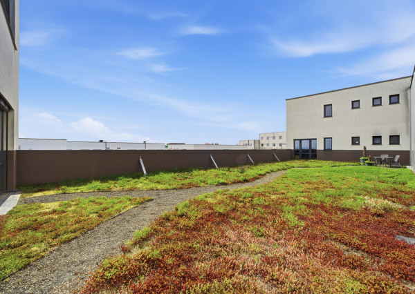 Na prenájom dve kancelárie na Zavarskej ulici v Trnave