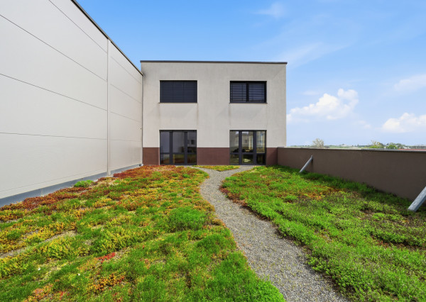 Na prenájom dve kancelárie na Zavarskej ulici v Trnave