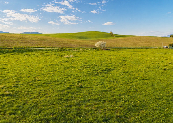 Na predaj pozemok v perspektívnej lokalite Dolného Kalníka