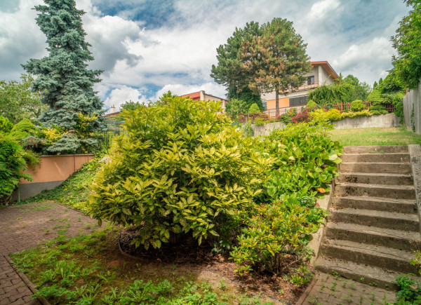 Na prenájom 5-izbový rodinný dom s udržiavanou záhradou v bratislavskej časti Kramáre