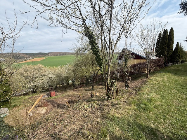 Na predaj pozemok v záhradkárskej oblasti Chrásť - Trenčín